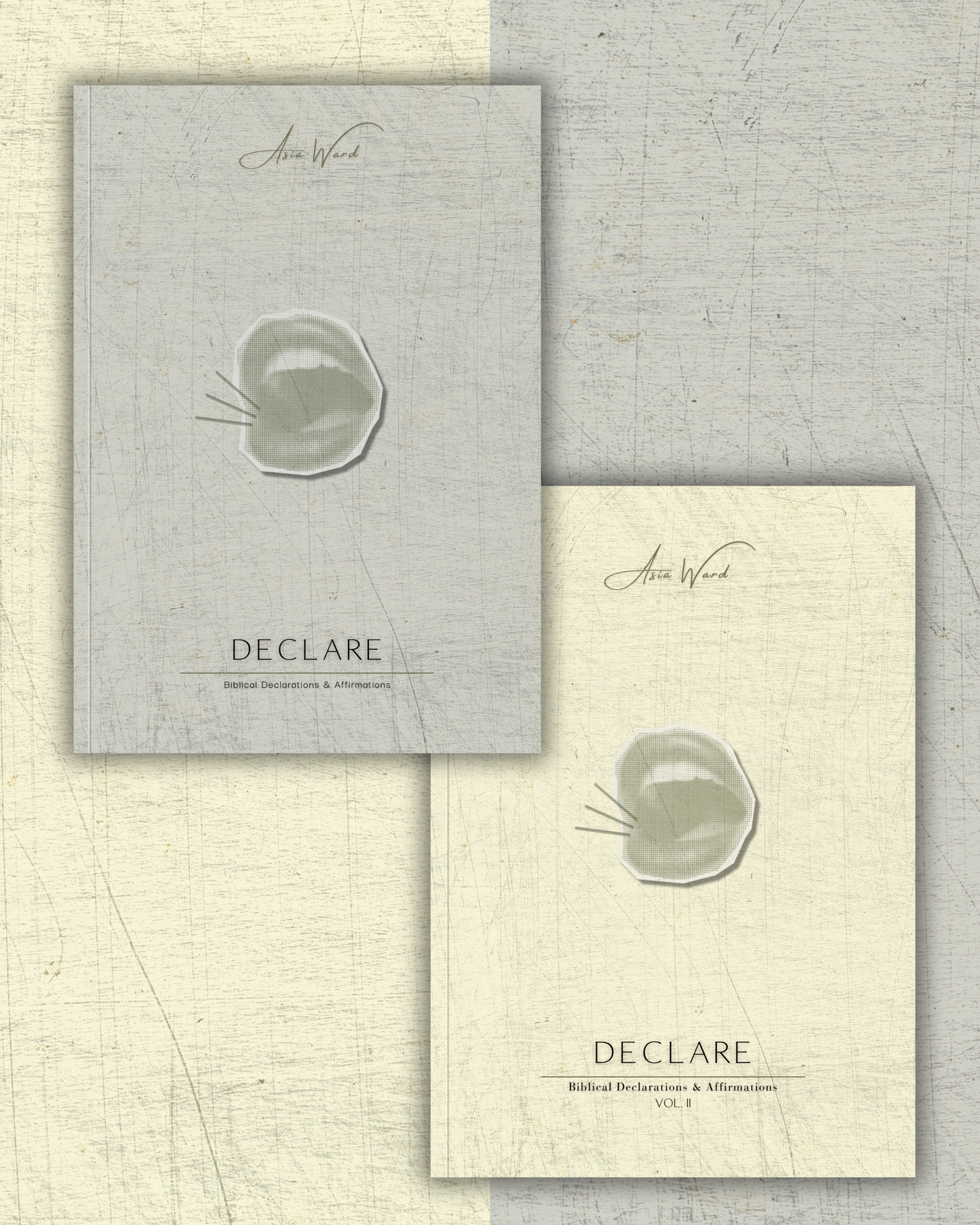 BUNDLE DEAL! DECLARE | Biblical Declarations & Affirmations Vol. I & Vol. II